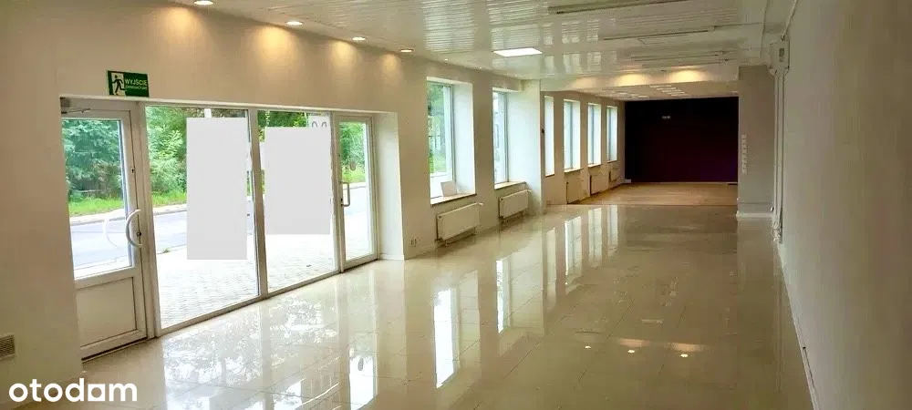 Lokal handlowy ul. Struga 215 m²
